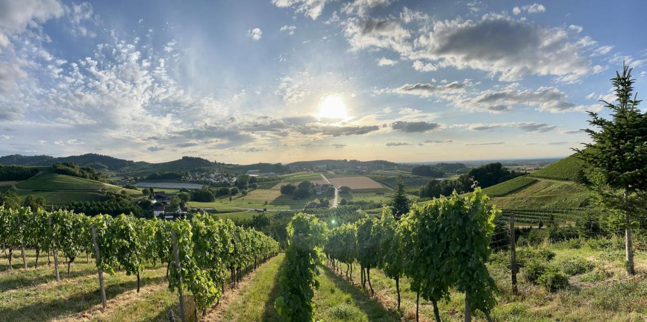 Ferienapartment Huber Oberkirch  Zewnętrze zdjęcie